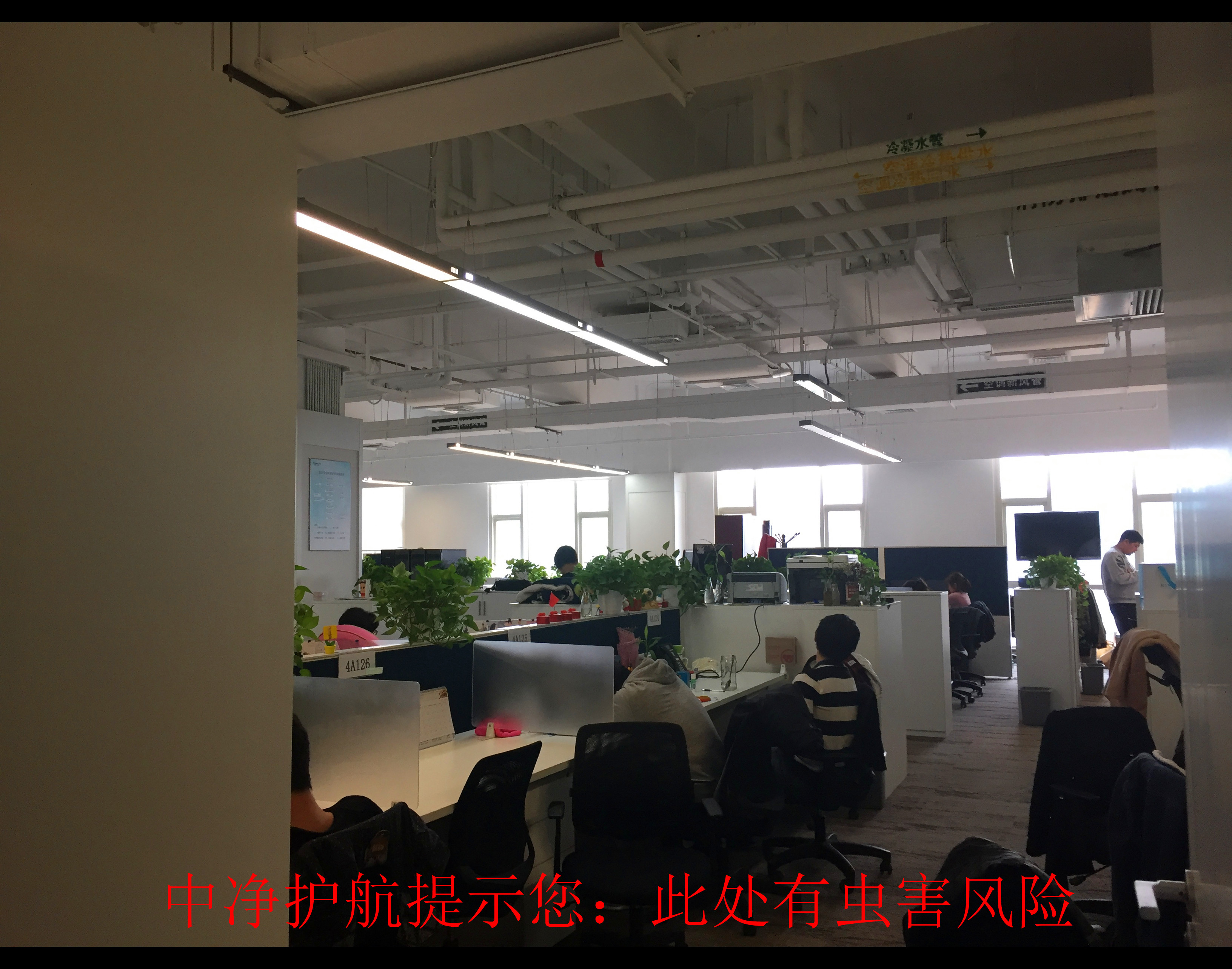 甲醛對人體的危害